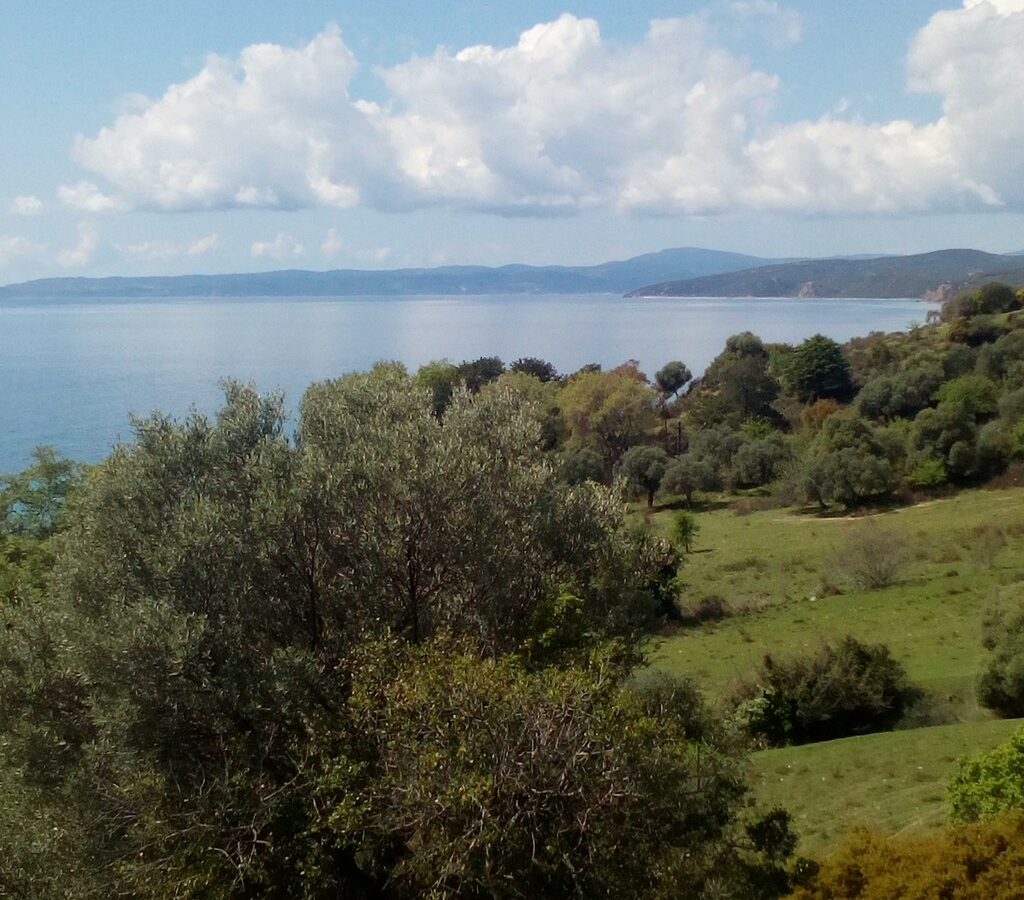 Land In Aristotle, Greece