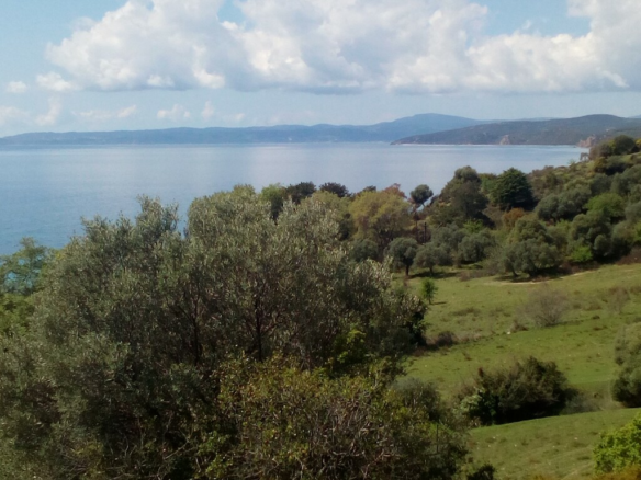 Land In Aristotle, Greece