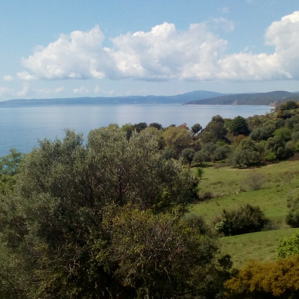 b4qqcg4xcuh-ab5440 Land In Aristotle, Greece