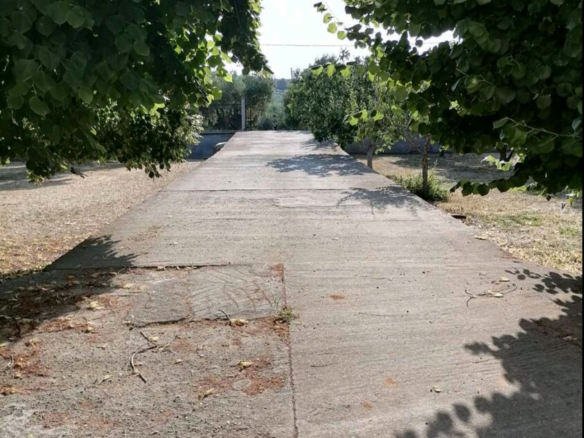 Complex In Poligiros, Greece (320 M²)