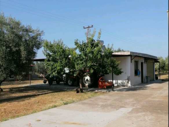 Complex In Poligiros, Greece (320 M²)