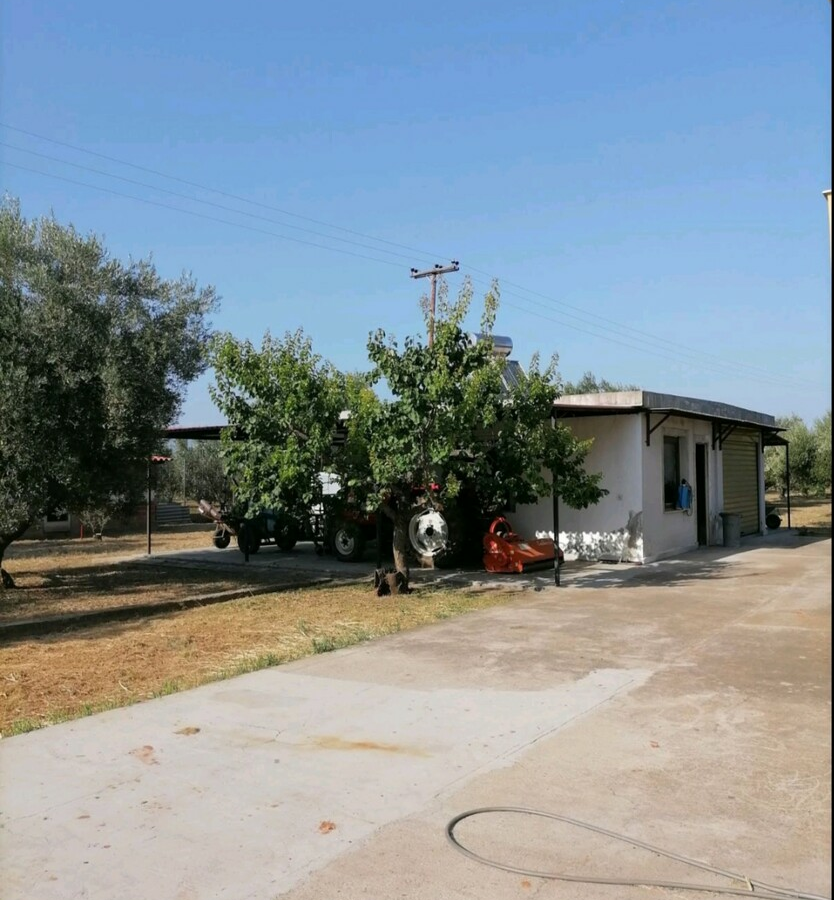 Complex In Poligiros, Greece (320 M²)
