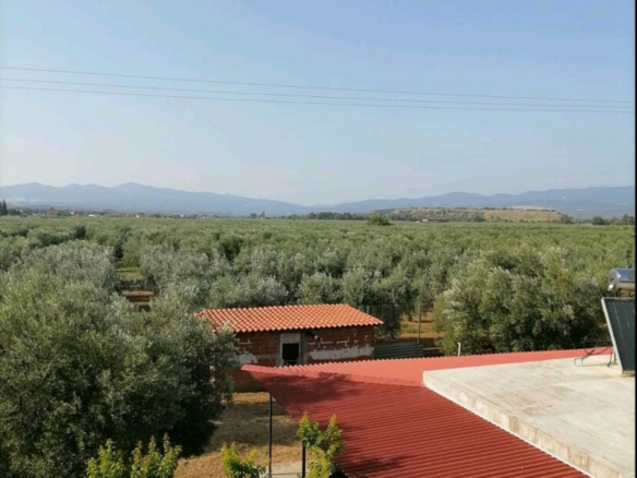 Complex In Poligiros, Greece (320 M²)