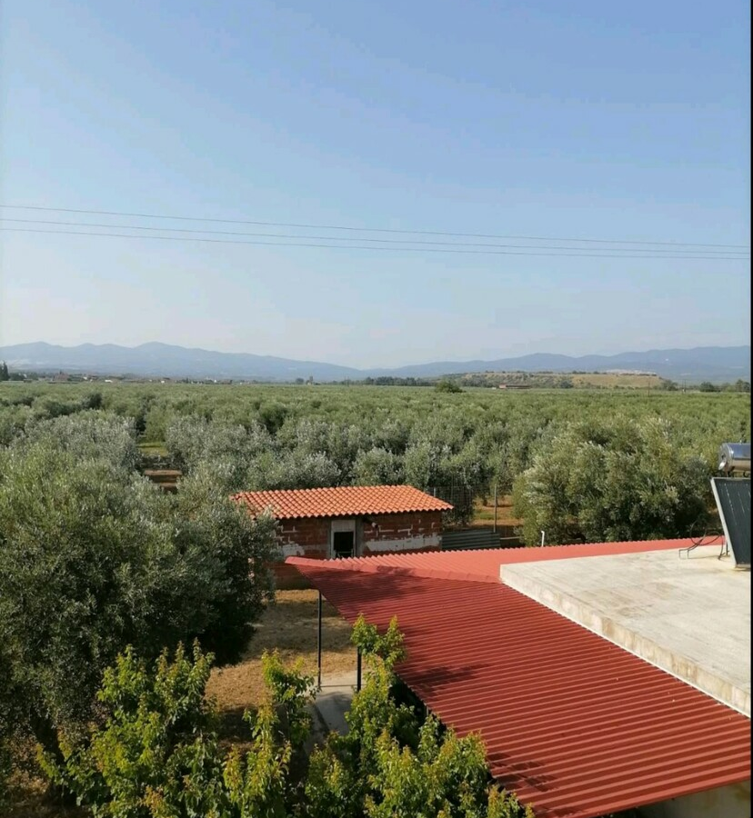 Complex In Poligiros, Greece (320 M²)