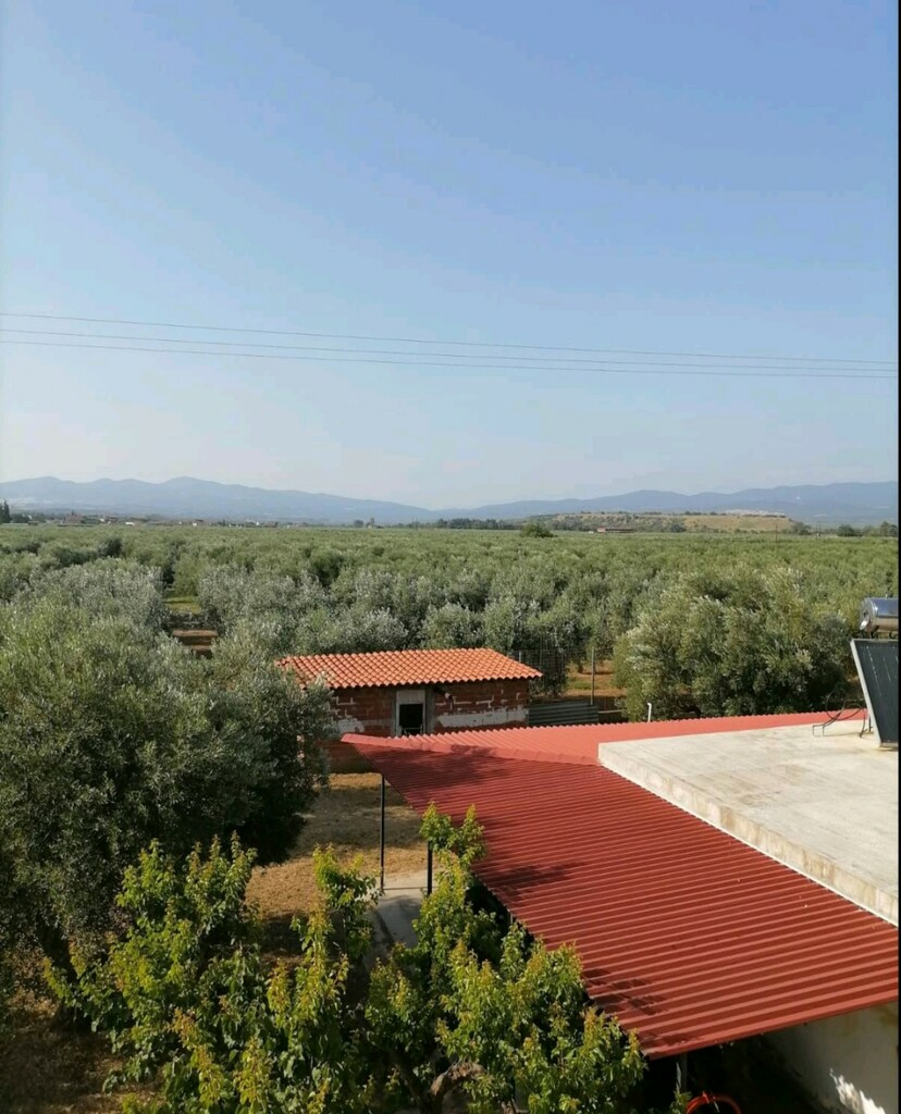 ccajw2d5brj-ffb8ff Complex In Poligiros, Greece (320 M²)