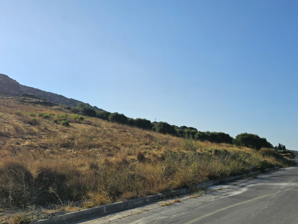 Land In Arkalochori, Greece