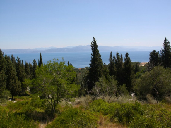 Land In Paxoi, Greece (6.410 M²)