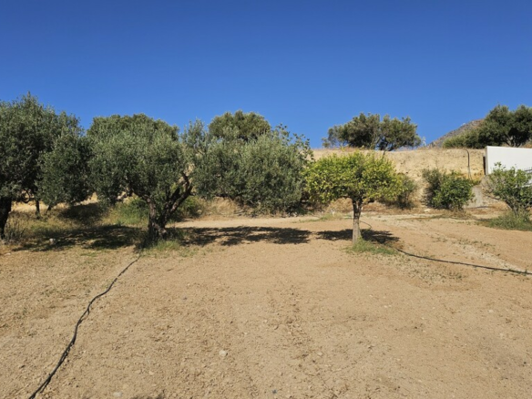 Land In Gouves, Greece