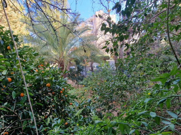 Maisonette 145 M2 In Kifissia, Greece