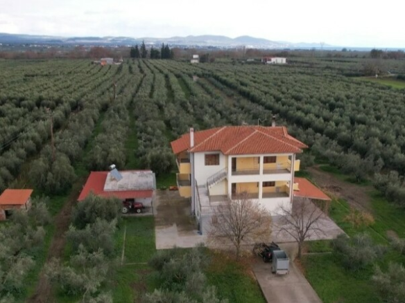 Complex In Poligiros, Greece (320 M²)