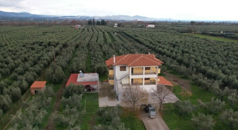 Complex In Poligiros, Greece (320 M²)