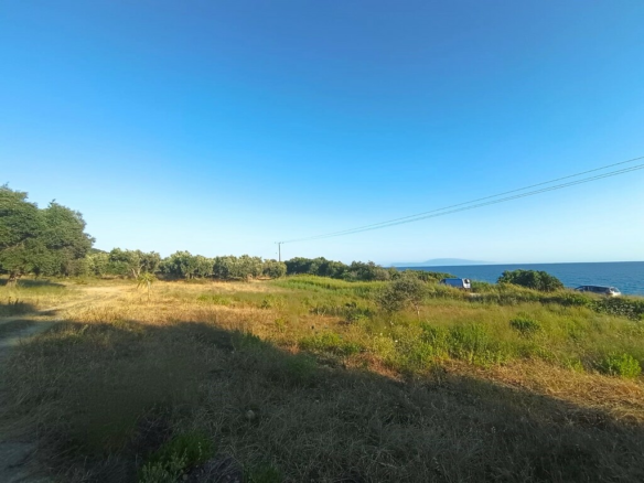 Land In Zaloggo, Greece