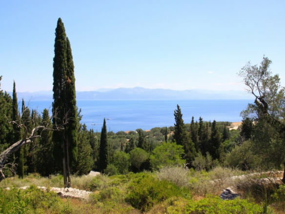 Land In Paxoi, Greece (6.410 M²)