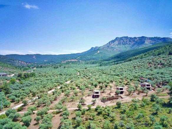 Detached House 65 M2 In Thasos, Greece