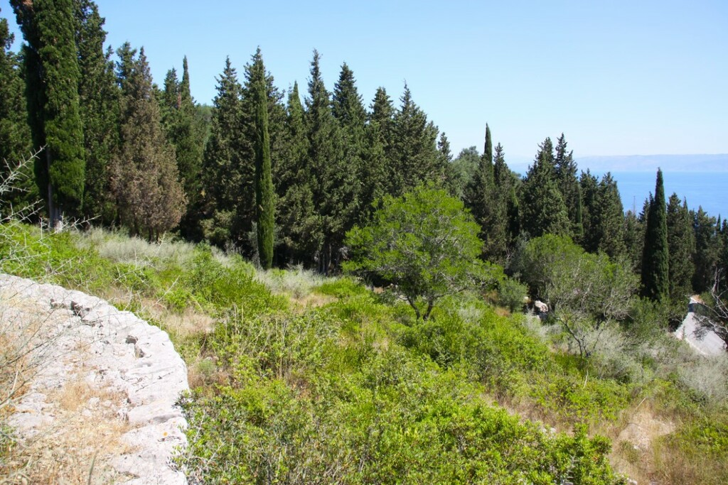 Land In Paxoi, Greece (6.410 M²)