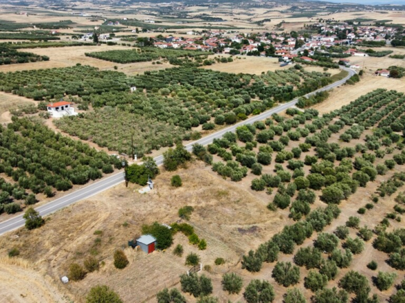 Land 877 M2 In Nea Propontida, Greece