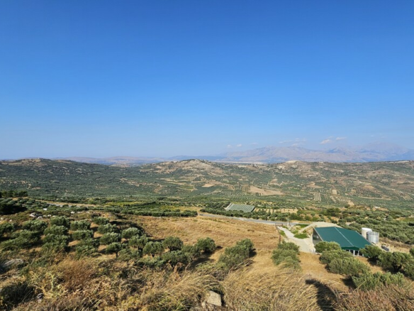 Land In Arkalochori, Greece