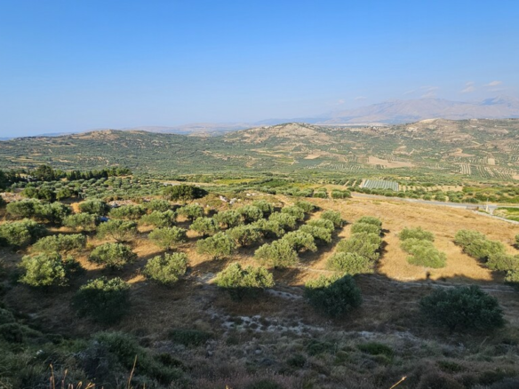 Land In Arkalochori, Greece