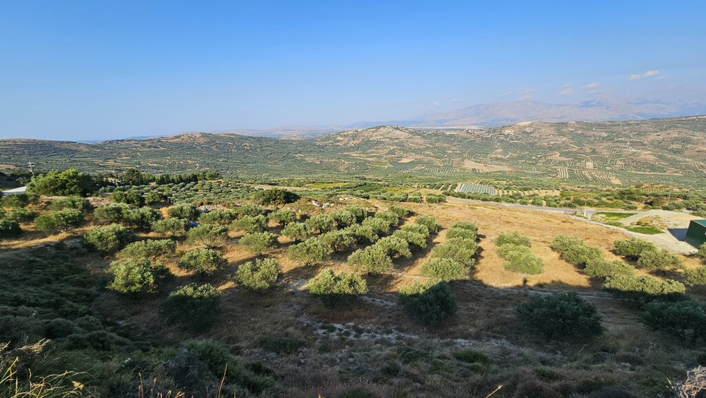 Land In Arkalochori, Greece