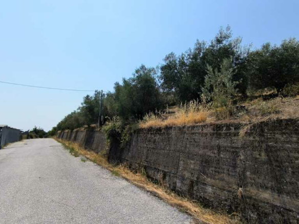 Land In Katerini, Greece