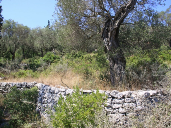 Land In Paxoi, Greece (6.410 M²)