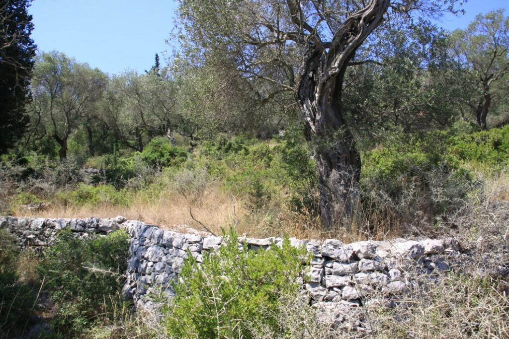 Land In Paxoi, Greece (6.410 M²)