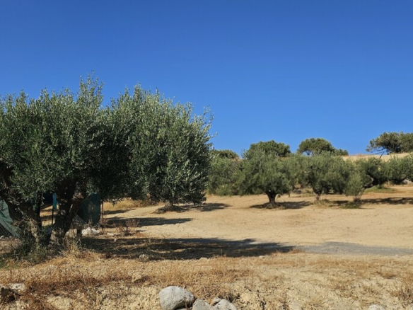 Land In Gouves, Greece