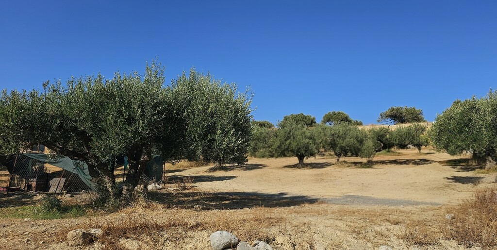 Land In Gouves, Greece