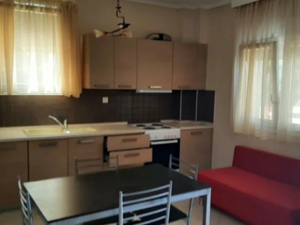 Flat 55 M2 In Michaniona, Greece