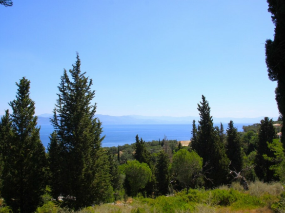 Land In Paxoi, Greece (6.410 M²)