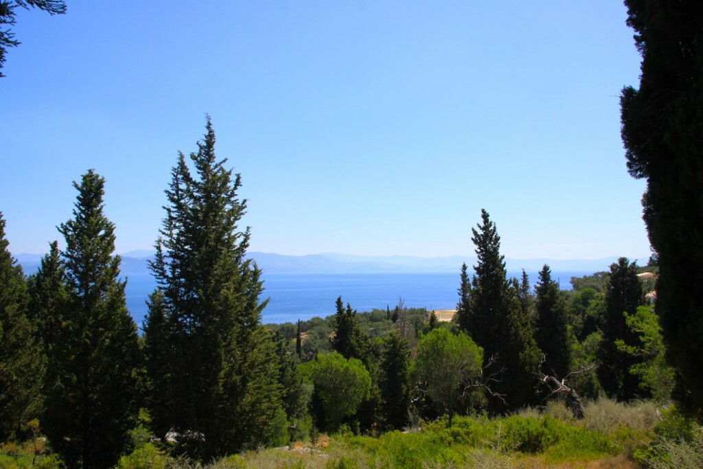 Land In Paxoi, Greece (6.410 M²)