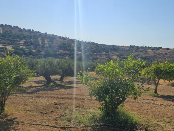 Land In Gouves, Greece