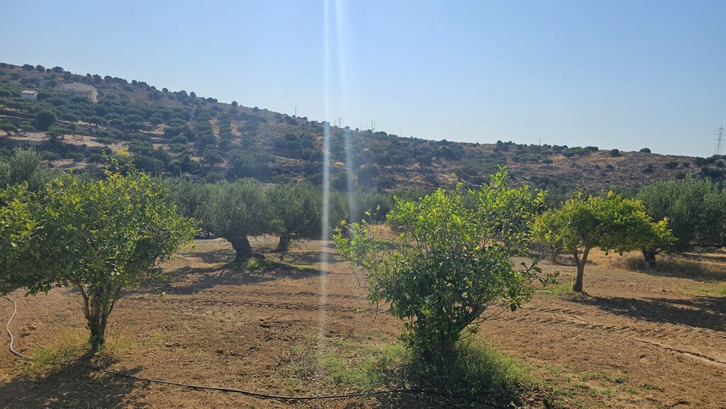 Land In Gouves, Greece