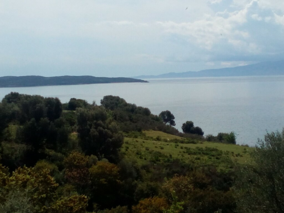 Land In Aristotle, Greece