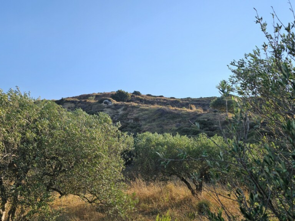 Land In Arkalochori, Greece