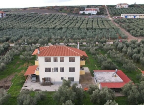 Complex In Poligiros, Greece (320 M²)