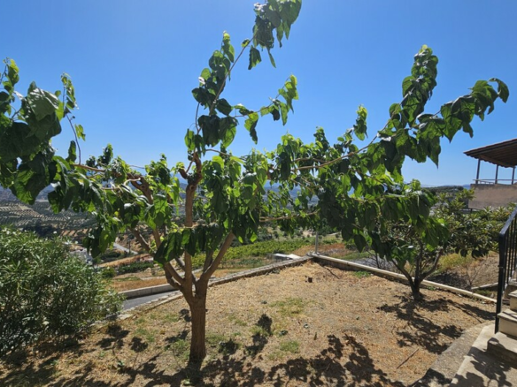 Detached House 247 M2 In Gorgolaini, Greece