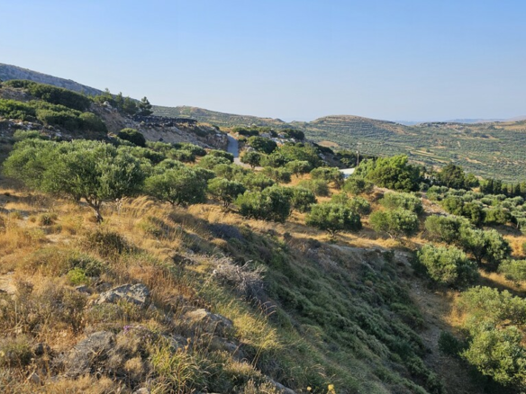 Land In Arkalochori, Greece