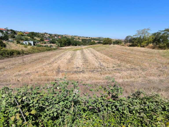 Land In Pidna, Greece
