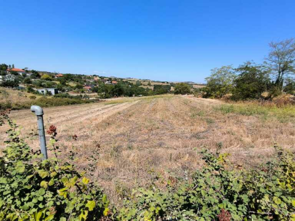 Land In Pidna, Greece