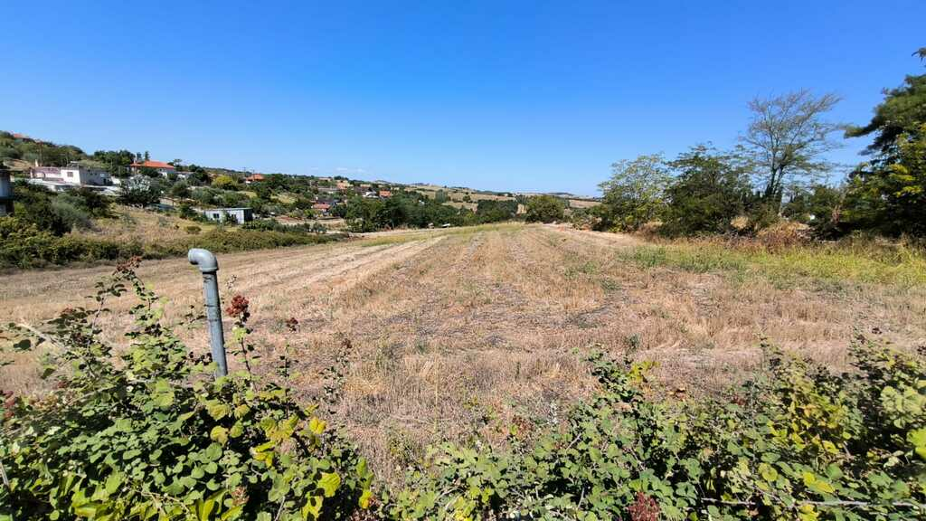 Land In Pidna, Greece