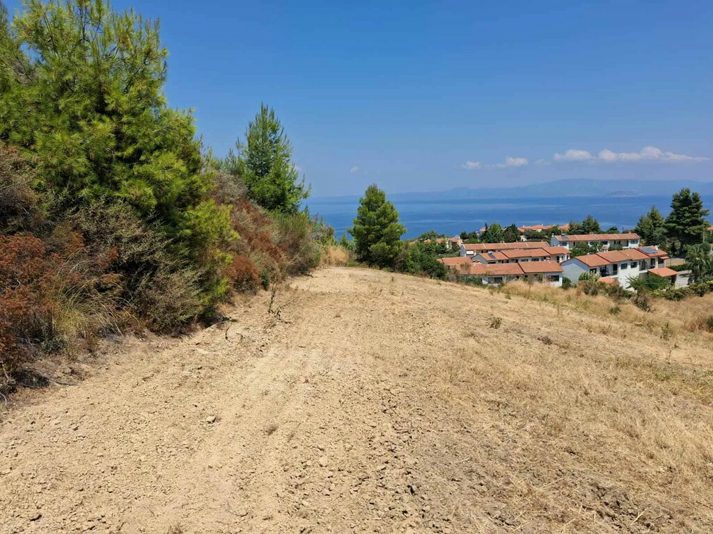 Land In Kassandra, Greece