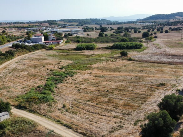 Land In Kassandra, Greece