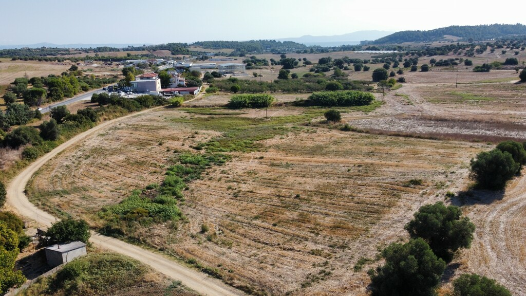 Land In Kassandra, Greece