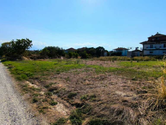 Land In Korinos, Greece