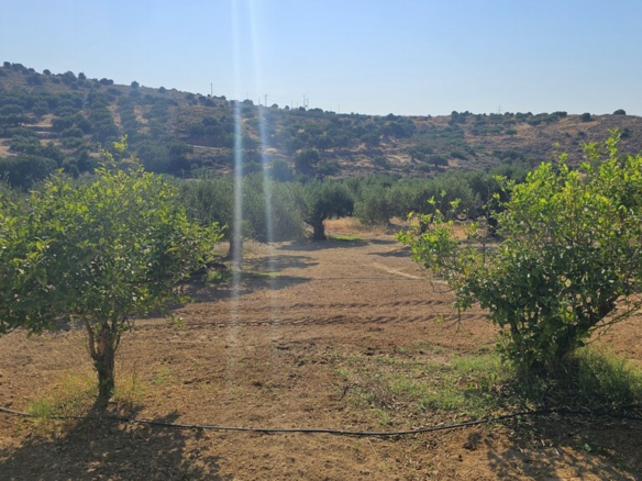 Land In Gouves, Greece