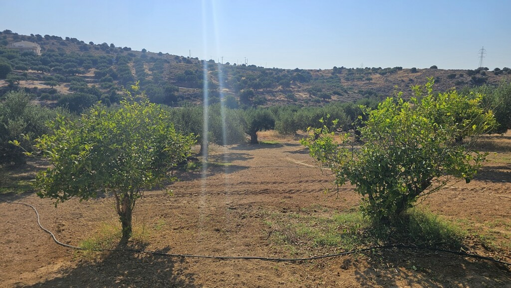 Land In Gouves, Greece