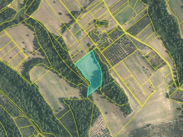 Land In Kassandra, Greece