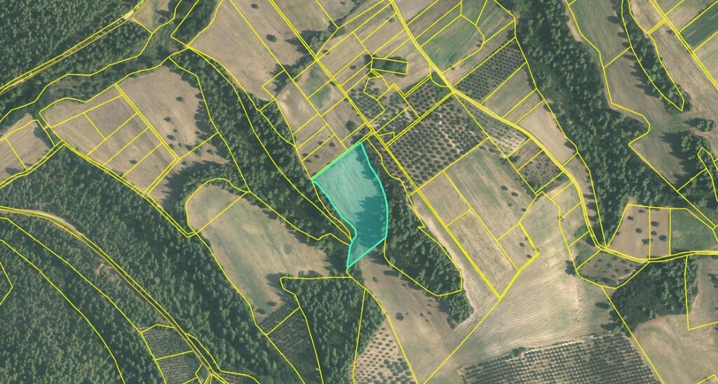 Land In Kassandra, Greece