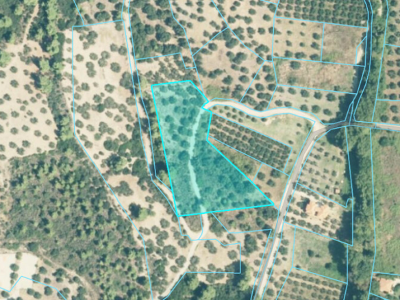 Land In Sithonia, Greece